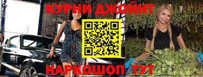 гашик Ливны