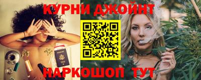 гашик Ливны
